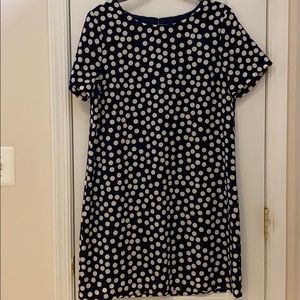 J.crew Navy & White dress